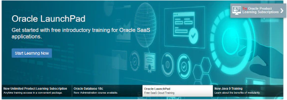 Oracle Learning