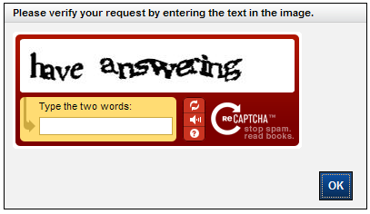 CAPTCHA window