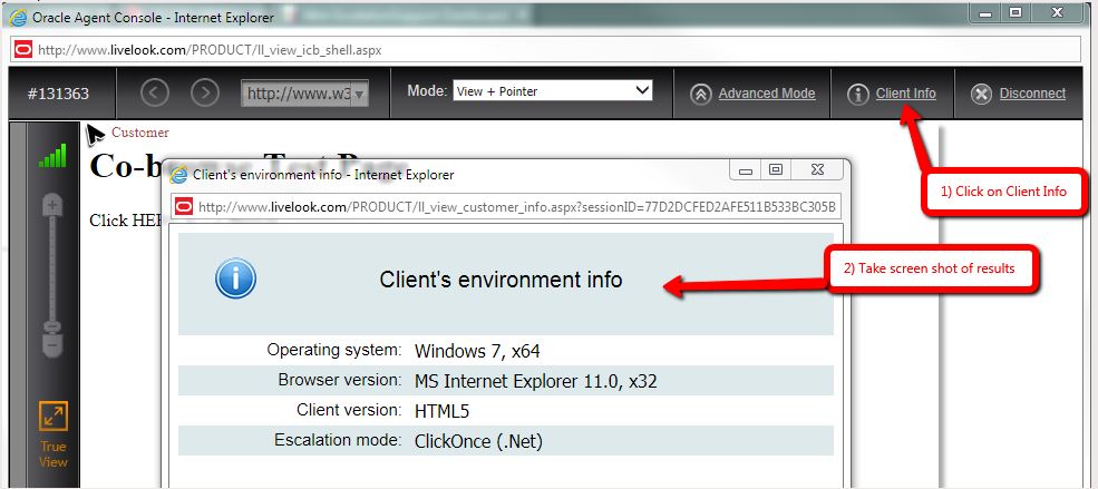 Click the Client Info button to see Client's Environment Information